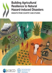 Building agricultural resilience to natural hazard-induced disasters | Insights from country case studies